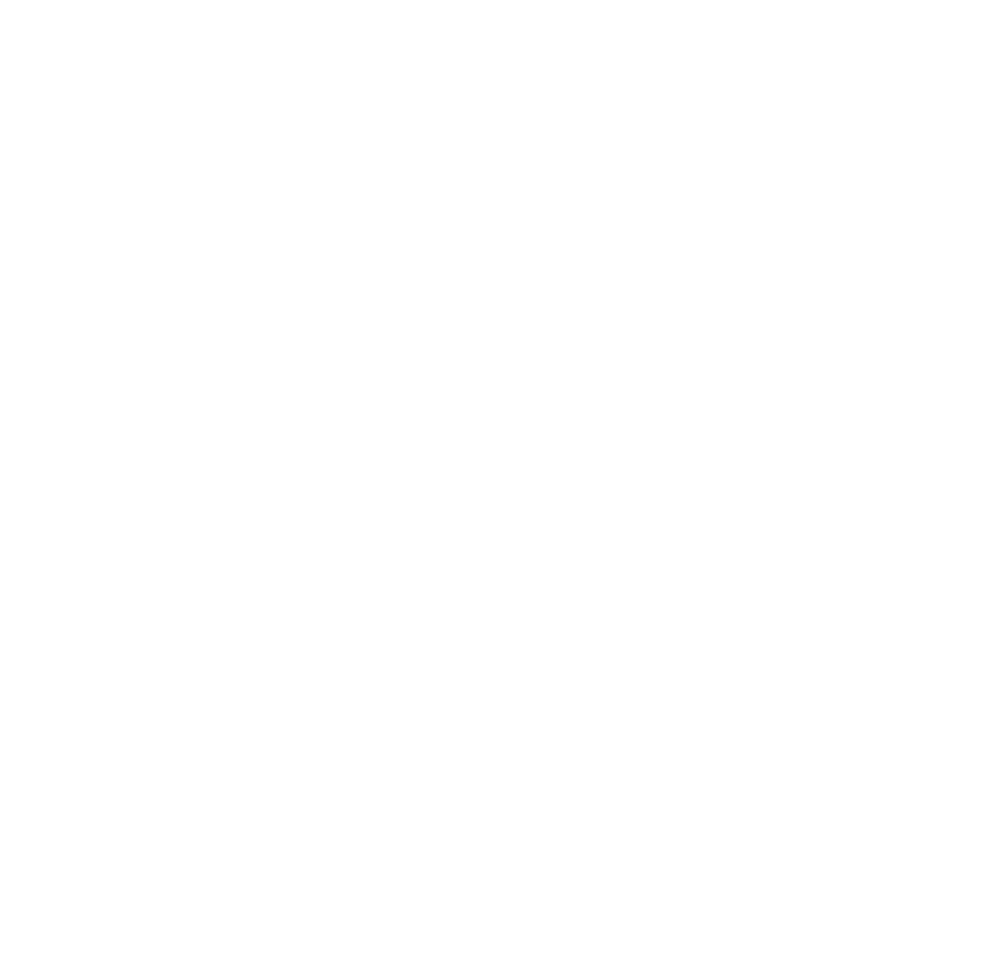 Technik Partner Construction